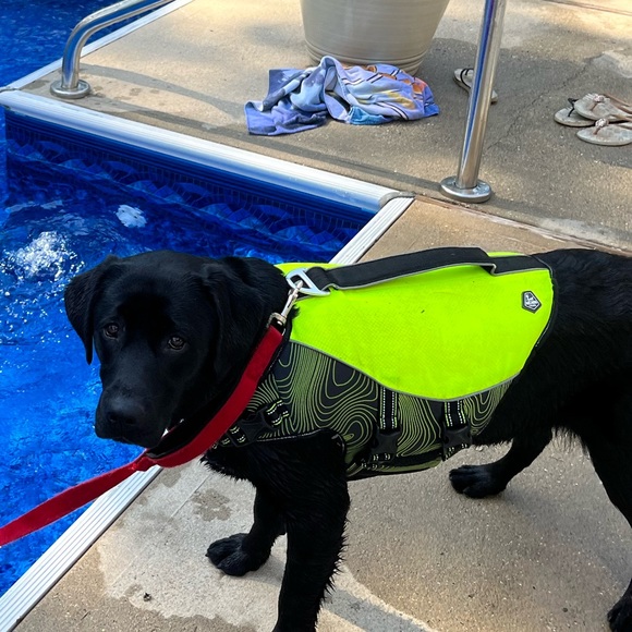 Arcadia Trail Flotation Coat for Dogs - Size Medium Slightly used - Picture 12 of 13